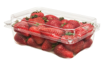 Bảo quản trái cây tươi ngon bằng hộp nhựa – Tại sao không?