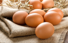 Trứng có nên bảo quản trong tủ lạnh không? – Hãy cùng tìm hiểu