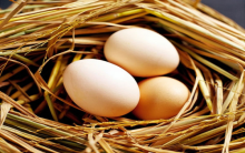 Napaco chia sẻ mẹo bảo quản trứng mùa hè