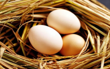 Bảo quản trứng như thế nào – Hãy cùng tìm cách tốt nhất!