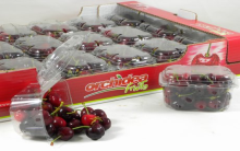 Hộp nhựa đựng trái cây trong suốt nâng cao giá trị của hoa quả nhập khẩu