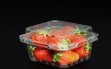 Có nên đựng trái cây ở hộp nhựa pet có lỗ hay không?