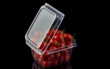  Hướng dẫn cách bảo quản trái cây trong hộp nhựa