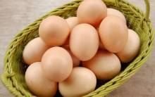Trứng gà – Nên cho trẻ ăn bao nhiêu là đủ