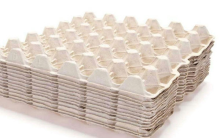 Vỉ đựng trứng bằng giấy và vỉ đựng trứng gà bằng nhựa