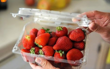 Cần chuẩn bị những gì khi bảo quản trái cây trong hộp nhựa?