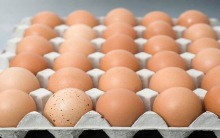 Bảo quản trứng gà đúng cách – Không phải ai cũng biết