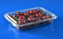 Cherry muốn bảo quản tốt nên đựng trong hộp chuyên dụng