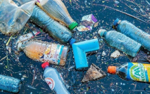 Tìm kiếm vật liệu phân hủy sinh học thay thế cho nhựa dẻo – Giải pháp tương lai
